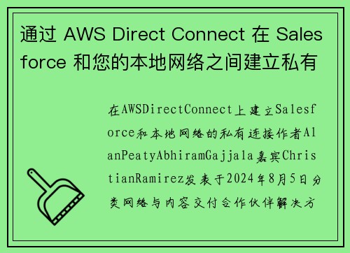 通过 AWS Direct Connect 在 Salesforce 和您的本地网络之间建立私有连接